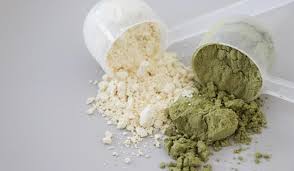 Les Bases De La Supplementation Sportive La Whey Proteine