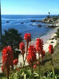 Looking for laguna beach hotel? Laguna Beach I Miss Living In Orange County Aes Laguna Beach California Orange County Beaches California Travel