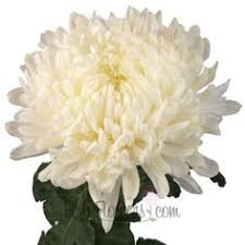 April's florist has a huge assortment of all types of flowers. 24 Succulent Wedding Floral Ideas Wedding Succulent Wedding Wedding Flowers