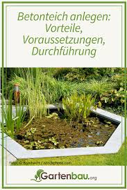 Betonteich Anlegen Vorteile Voraussetzungen Durchfuhrung In 2020 Teich Teich Anlegen Gartenbau