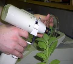 Methods Of Genetic Engineering Mrlloyder