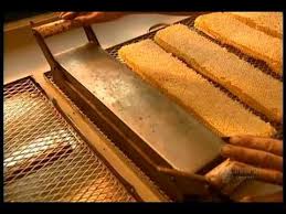 There Are All Kinds Of Crazy Videos On Youtube Some Are Makeup Tutorials Some Are Music Videos And Some Are Science Videos Science For Kids Classroom Videos