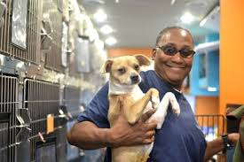 Visit petsmart's everyday dog or cat adoption centers or, at select locations, adopt a variety of small pets or reptiles. Volunteer Opportunities In Dallas Animals Dallasites101