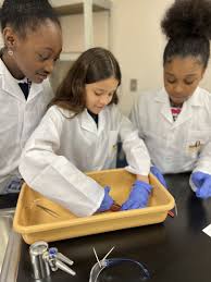 Meet Patience Edwards