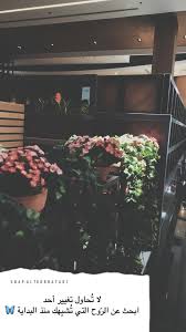 همسة لا ت حاول تغيير أحد ابحث عن الر وح التي ت شب هك منذ البداية تصويري تصويري سناب تصميمي تصميم Europe Travel Tips Girl Photo Poses Photo