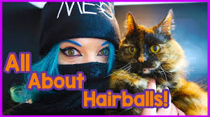 This shouldn't be too difficult if it happens as often as you say. What You Need To Know About Hairballs Why Does My Cat Cough Up Hairballs And What To Do About Them Youtube