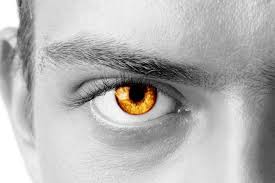 Red eyes are the rarest. Learn About The Origin Of Amber Eyes In People Guy Counseling