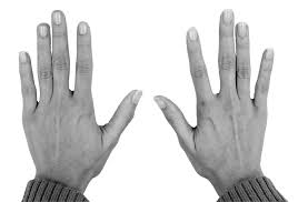 Image result for hands