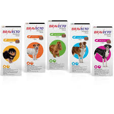 By using this program, you agree to pay the entire prescription cost less any applicable discount. Bravecto Chews 1800petmeds