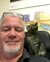 Hit and run black kitten with white paws