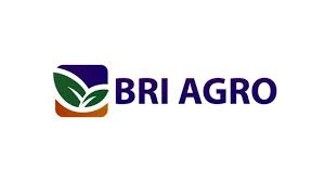 Sungguh pencapaian yang luar biasa. Bri Agro Bagikan Dividen Rp15 2 Miliar Ke Pemegang Saham