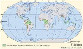 To understand properly you need to look at the illustration given below Tropical Rainforest Worldwide Distribution Rainforest Map Tropical Rainforest Rainforest