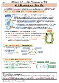 There are many different types of cells in animals. Cell Structure And Function Medicine Medicine Notes In 2020 Biology Worksheet Teaching Biology Biology Lessons