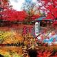 Saruka Park Autumn Leaves Festival - Saruka Park, Ishibayashi Saruka Event Image