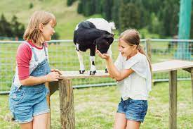 Check spelling or type a new query. The Best Petting Zoos In Metro Detroit