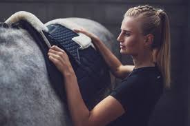 Widest selection of essential equine supplies at affordable prices Gel Pad Or Just Saddle Cloth What To Use While Horseback Riding Equishop Equestrian Shop
