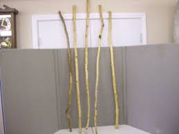 Beaver Chewed Hiking Sticks By Muckluck11 On Etsy 35 00 Wood Meaning Hiking Sticks Handmade