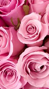 Sfondi Tumblr Iphone 6 Cerca Con Google Carta Da Parati A Fiori Linguaggio Dei Fiori Fiori Facebook twitter reddit whatsapp tumblr pinterest vk email. sfondi tumblr iphone 6 cerca con