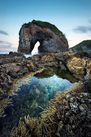 Sea Horse Bermagui New South Wales Australia By Goff Kitsawad On 500px Beach Landscape Scenery Beautiful Nature