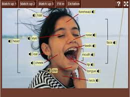 Feb 28, 2020 · one's like this one you can see about face shapes in chinese! Body Parts 1 Head And Face English Guide Org