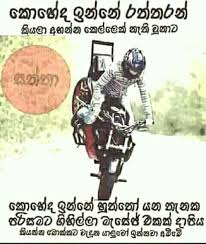 Watch dahon bikes in action, find out how they fold, or catch a few maintenance tips for. Bike Waddo à¶…à¶´ à¶ºà¶š à¶š à¶¶ à¶½à¶‹ Home Facebook
