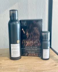 Kristin Ess Signature Hair Gloss Hair Gloss Kristin Ess Purple Shampoo And Conditioner