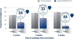 A week is a period of 7 days. Ingelvac Prrsflex Eu Prrs Com