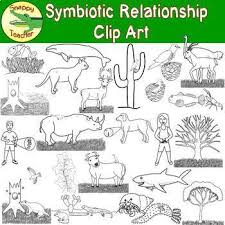 Número de identificação do vídeo 1483477. Symbiotic Relationship Clip Art By Snappy Teacher Tpt