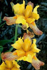 Pin On Nature Scapes And Miracles