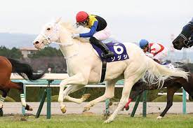 Milgram ‐ミルグラム‐ mv bigアクリルキーホルダー シドウ 『スローダウン』 【2021年8月出荷予定分】. ã‚¦ãƒžå¨˜ æ¡œèŠ±è³žã‚'å‹ã£ãŸ ã‚½ãƒ€ã‚· ã¯ã‚„ã£ã±ã‚Šå®Ÿè£…ã§ããªã„ã® ã‚¦ãƒžå¨˜ã¾ã¨ã‚ã‚¢ãƒ³ãƒ†ãƒŠv