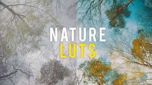 Easily apply a vintage or cinematic look in premiere pro, fcpx, davinci resolve, and more! Nature Lut Pack Free Download Youtube