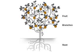 Jaboticaba is a small bushy tree that has many branches. Regardless Of What It Does Every Business Like Every Fruit Tree Is Unique An Interactive Analogy Ilv Silver