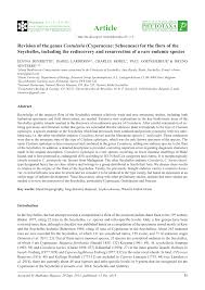 Image result for Costularia natalensis