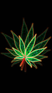 Stoner is a 1965 novel by the american writer john williams. Stoner Wallpaper Wallpaper Sun