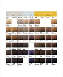 Hair Color Chart Template 9 Free Word Pdf Documents