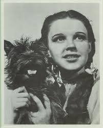 Picture of Dorothy and Toto