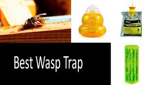 I know i've had troubles with them here in california well into the fall, although they're at their most active in the summer. Top 3 Wasp Traps Best Yellow Jacket Traps Detailed Review 2021