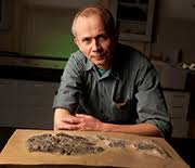 The shark, named gladbachus adentatus, was first discovered in germany in 2001. Ancient Sharks Likely More Diverse Than Previously Thought Nsf National Science Foundation