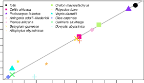 Image result for Galiniera