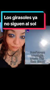 Did Sunflowers Turn Ther Back to Sun