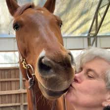 Felix Brown Band killing it down at Pro Tek!!! Happy East Lyme Day