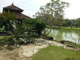 Tanah untuk dijual lokasi tepi jalan bukit cherakah jaya daerah petaling jaya keluasan 3.2 ekar leasehold 1 owner kawasan tgh membangun berhadapan jalan besar status pertanian direct 4/9 acres land for sale in kuala langat selangor. Ijok Tanah Untuk Dijual Properties In Ijok Mitula Homes