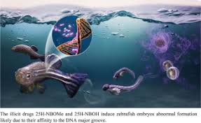 Image result for NBOMe