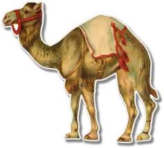 Our dear friend, varalakshmi kandregula, helped us with the sanskrit translation of this phrase. Vakibs On Twitter Ostrich Is Called Ushtrapakshi à°‰à°· à°Ÿ à°°à°ªà°• à°· à¤‰à¤· à¤Ÿ à¤°à¤ªà¤• à¤· In Telugu It Is A Sanskrit Compound Meaning Camel Bird I Am Always Puzzled Why Hindi Borrows From Persian When A Commonly Used Prakrit