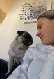 Camille Talbot (@camilletalbott)