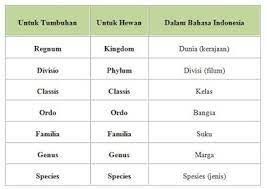 Urutan takson hewan dan tumbuhan. 82 Gambar Taksonomi Hewan Dan Tumbuhan Gratis Terbaik Gambar Hewan
