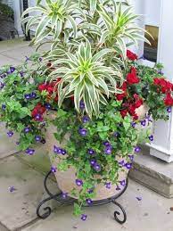 40 Creative Garden Container Ideas And Plant Pots Plants Garden Containers Container Plants