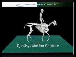 You will see the message summoned new skeleton appear in the lower left corner of the game window to indicate that the skeleton has been summoned. Qualisys Motion Capture Of A Horse And Rider Youtube