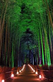 Sagano Bamboo Forest Japan Beautiful Landscapes Bamboo Forest Japan Beautiful Places