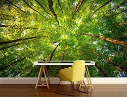 Forest Wall Mural Trees Wall Mural Nauture Mueal By 4kdesignwall Forest Wallpaper Tree Canopy Tree Wallpaper